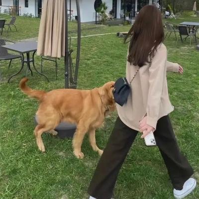 下一站幸福